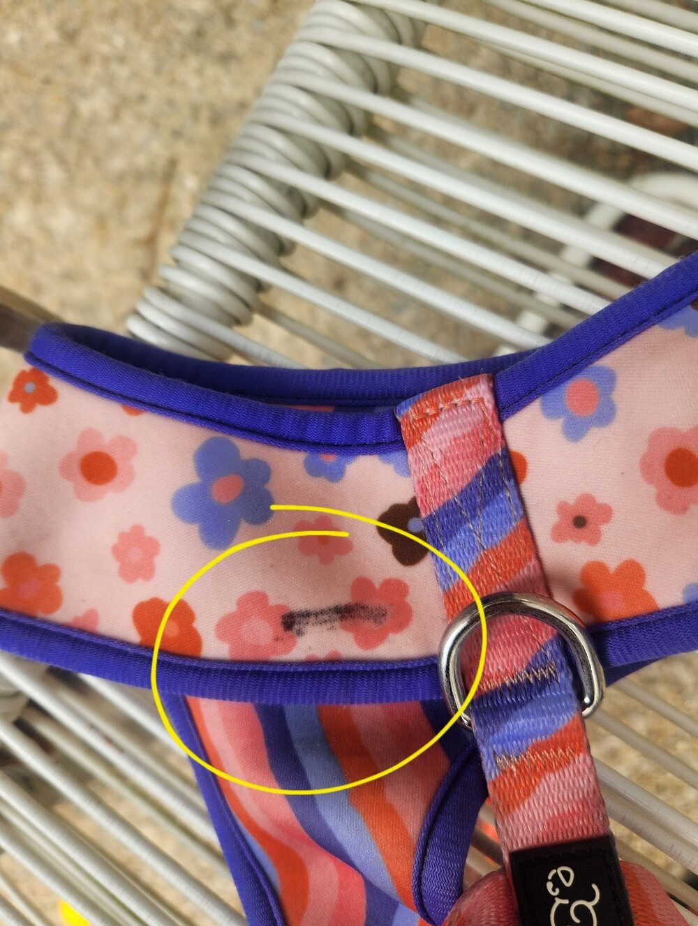 Dog Harness - Picture 3 of 3